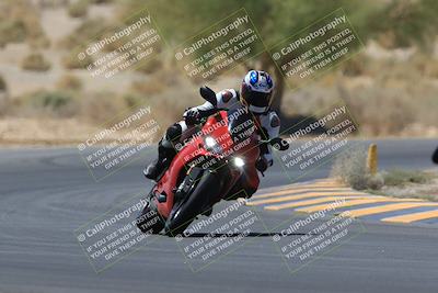 media/May-14-2023-SoCal Trackdays (Sun) [[024eb53b40]]/Turn 5 Tree of Life (1125am)/